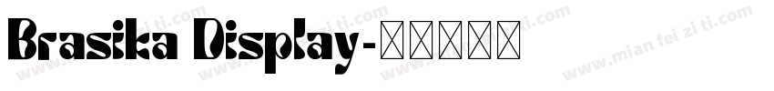 Brasika Display字体转换